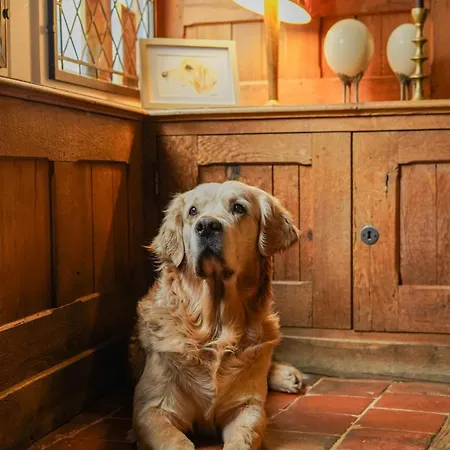 Hotell L'absinthe Honfleur